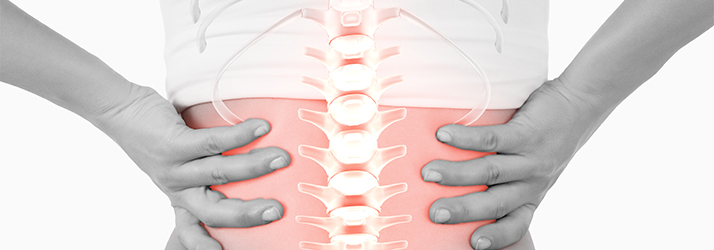 Chiropractic Cutlerville MI Chiropractic Care Chiropractic Cutlerville MI Chiropractic Care